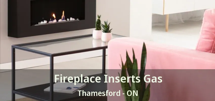 Fireplace Inserts Gas Thamesford - ON Fireplace Inserts Gas Thamesford - ON