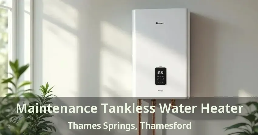 Maintenance Tankless Water Heater Thames Springs, Thamesford - ON Maintenance Tankless Water Heater Thames Springs, Thamesford - ON