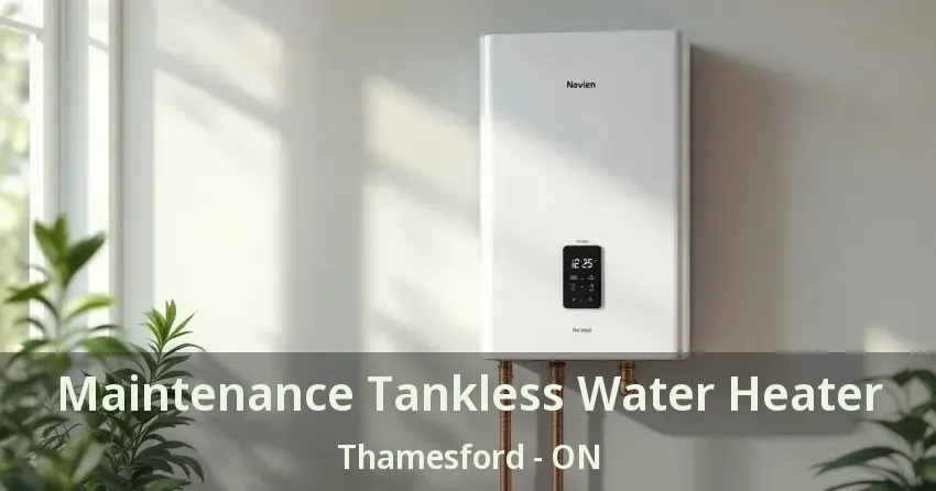 Maintenance Tankless Water Heater Thamesford - ON Maintenance Tankless Water Heater Thamesford - ON