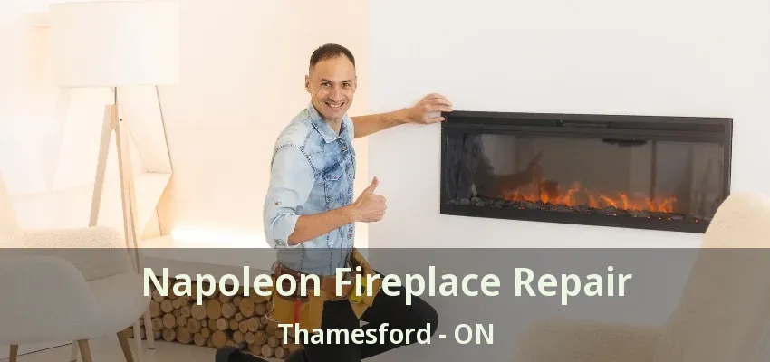 Napoleon Fireplace Repair Thamesford - ON Napoleon Fireplace Repair Thamesford - ON