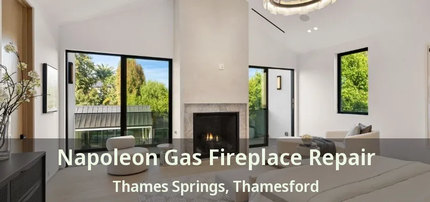 Napoleon Gas Fireplace Repair Thames Springs, Thamesford - ON Napoleon Gas Fireplace Repair Thames Springs, Thamesford - ON