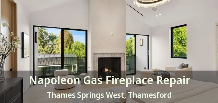 Napoleon Gas Fireplace Repair Thames Springs West, Thamesford - ON Napoleon Gas Fireplace Repair Thames Springs West, Thamesford - ON
