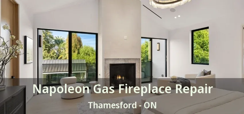 Napoleon Gas Fireplace Repair Thamesford - ON Napoleon Gas Fireplace Repair Thamesford - ON