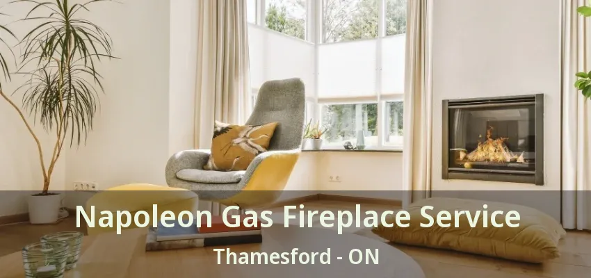Napoleon Gas Fireplace Service Thamesford - ON Napoleon Gas Fireplace Service Thamesford - ON