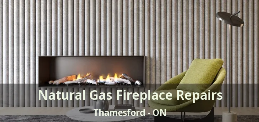Natural Gas Fireplace Repairs Thamesford - ON Natural Gas Fireplace Repairs Thamesford - ON
