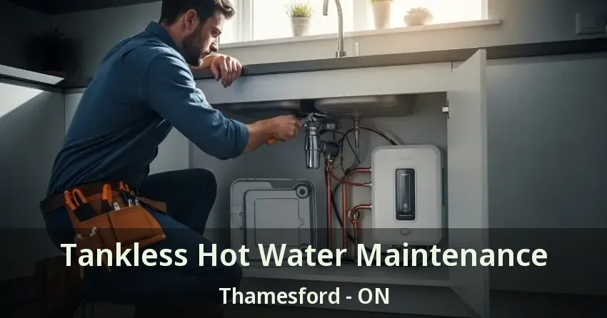 Tankless Hot Water Maintenance Thamesford - ON Tankless Hot Water Maintenance Thamesford - ON