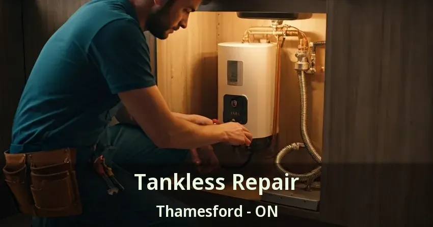 Tankless Repair Thamesford - ON Tankless Repair Thamesford - ON