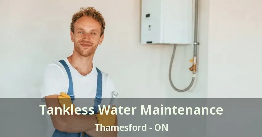 Tankless Water Maintenance Thamesford - ON Tankless Water Maintenance Thamesford - ON